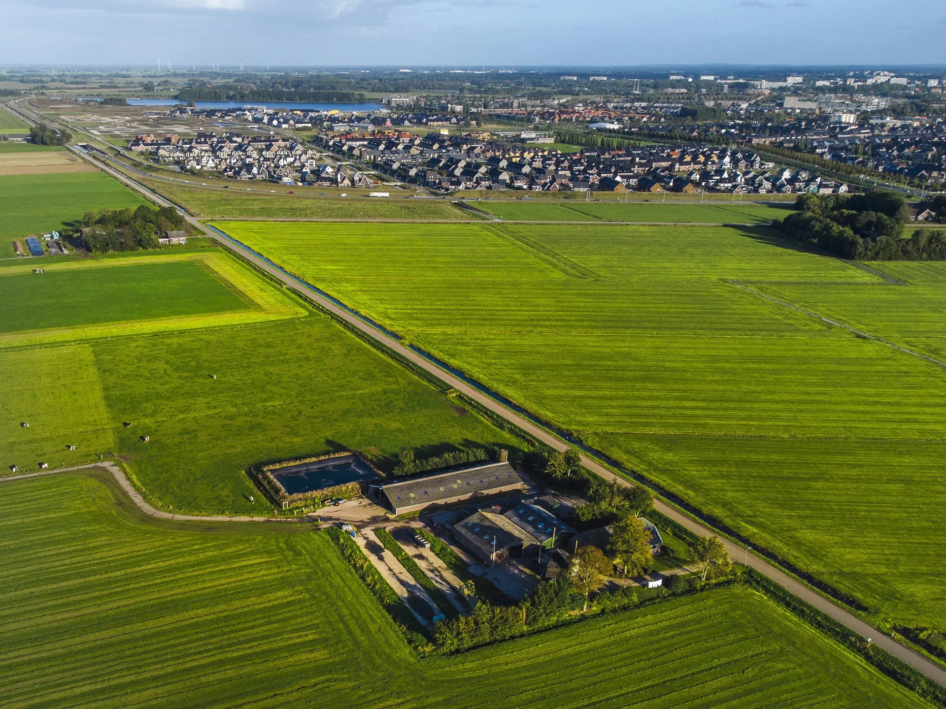 SCHAARSE RUIMTE 2026